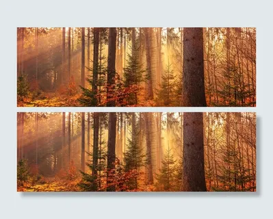 秋天落叶枫叶景色7高清