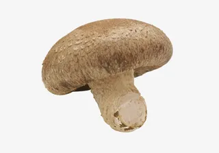 一颗营养健康的冬菇免抠