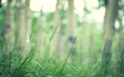 春天 四月 清明节 青团 海报 背景 2