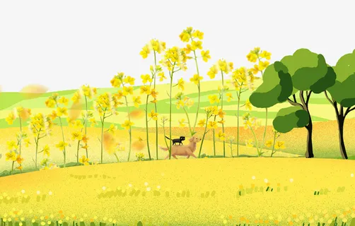 春天你好油菜花风景插画免抠