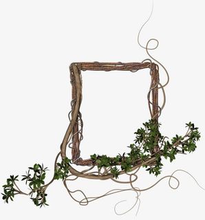 植物花藤边框免抠