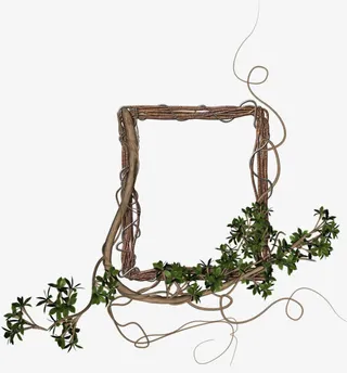 植物花藤边框免抠