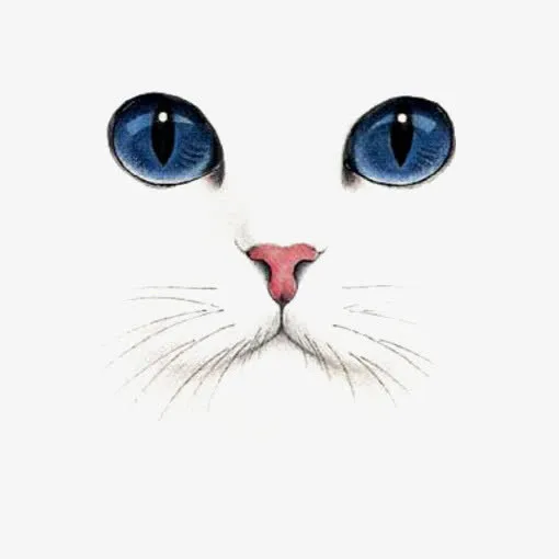 手绘猫咪免抠