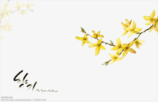 水墨迎春花PSD分层素材免抠