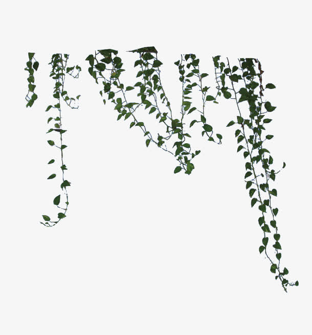 绿色绿藤植物素材免抠