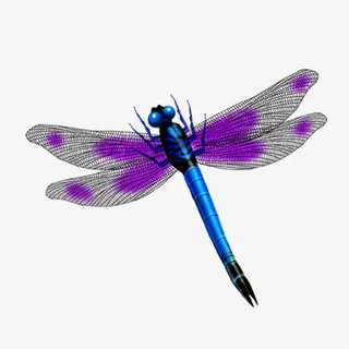 装饰图案 蜻蜓免抠