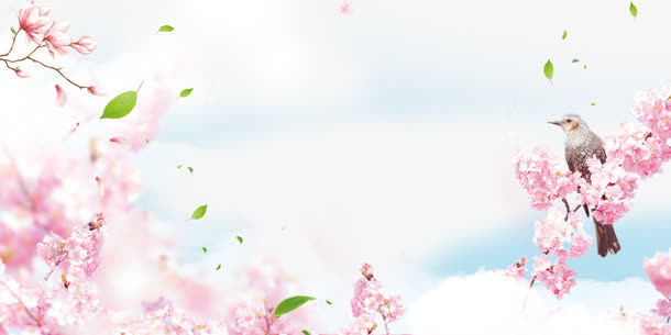 桃花背景素材