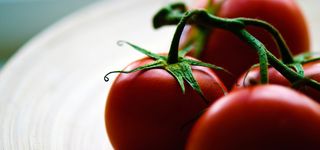 番茄清新淘宝背景banner素材图高清