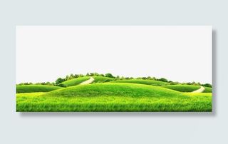 绿色大草坪马路绿树免抠