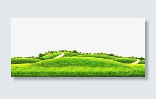 绿色大草坪马路绿树免抠