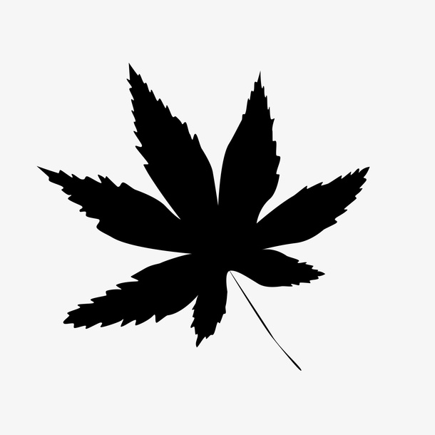 黑色的枫叶免抠
