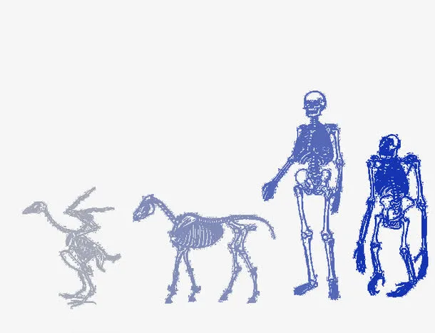 免抠素材骷髅图片免抠