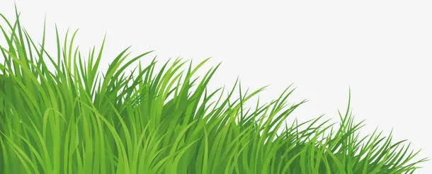 绿色小草免抠