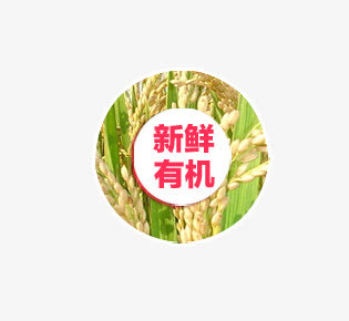新鲜有机标签免抠
