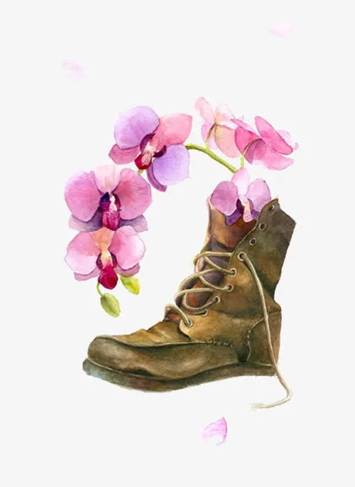 靴子里的花免抠