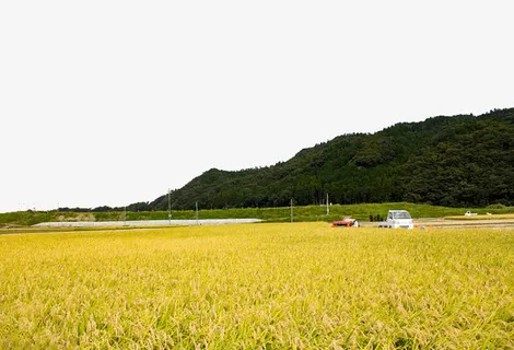 麦子地收麦子场景免抠