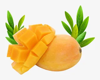 橄榄叶与小台芒图片素材免抠