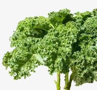 青色的菜叶免抠