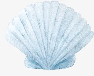 手绘创意贝壳扇贝免抠