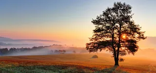 夕阳下的自然风光高清