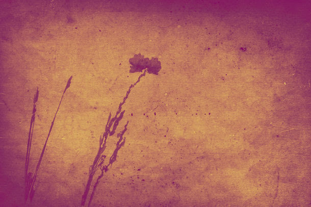 复古花纹背景底纹