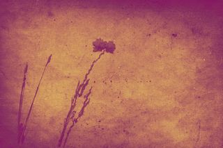 复古花纹背景底纹