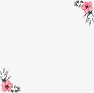 手绘财税蔷薇花装饰边框免抠