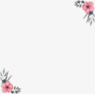 手绘财税蔷薇花装饰边框免抠