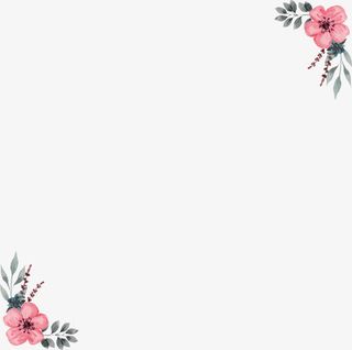 手绘财税蔷薇花装饰边框免抠