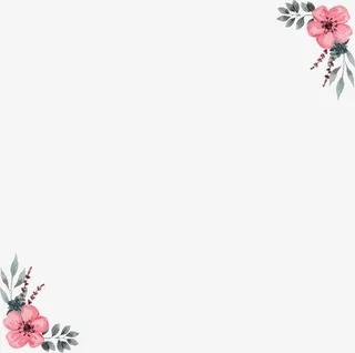 手绘财税蔷薇花装饰边框免抠