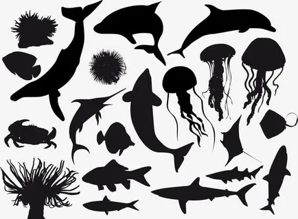 海洋生物剪影鲨鱼水母螃蟹免抠 海洋生物剪影鲨鱼水母螃蟹免抠