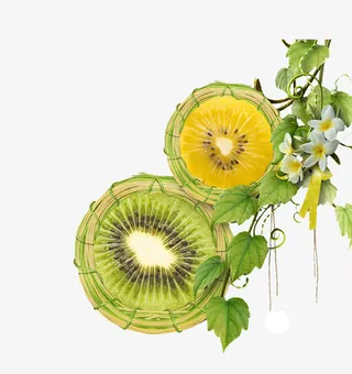 免抠绿色猕猴桃树枝花朵免抠