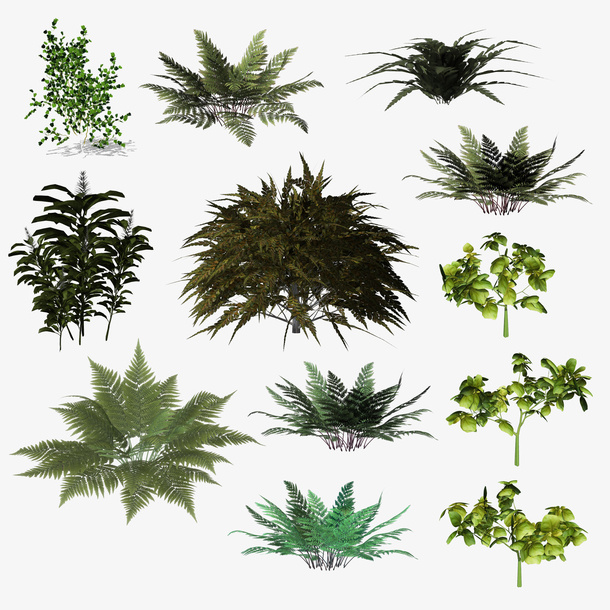 植物组合免抠