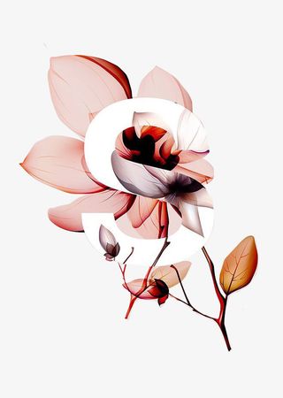 插画花免抠