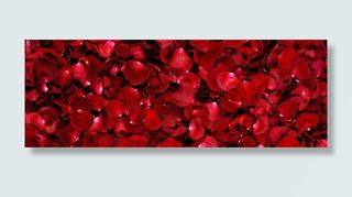 化妆品背景免抠