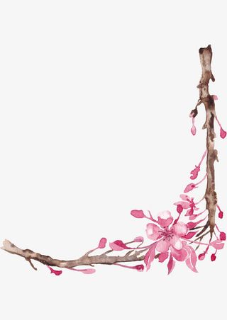 樱花枝干花边免抠