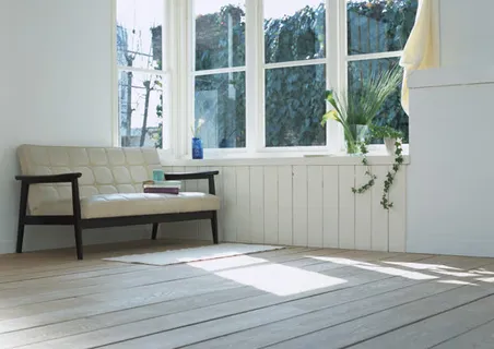 白色简约室内绿叶免抠