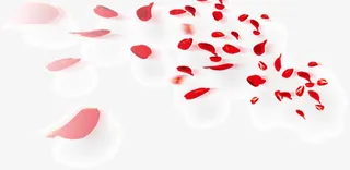 漂浮的玫瑰免抠