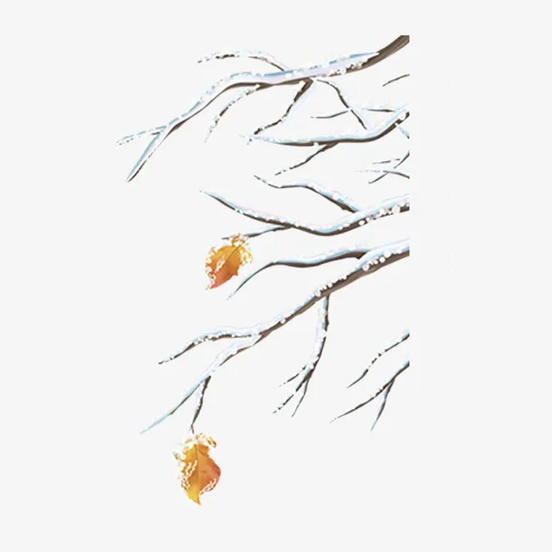 白色雪花装饰质感元素免抠