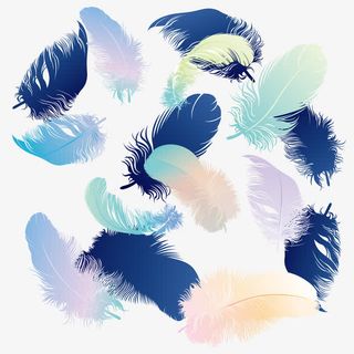 缤纷羽毛设计矢量素材免抠