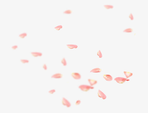 浅粉花瓣免抠