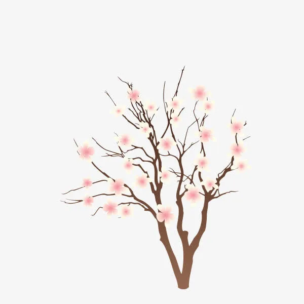 桃树免抠