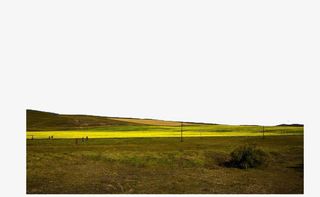 宽广的草原免抠