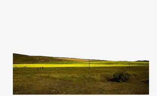 宽广的草原免抠