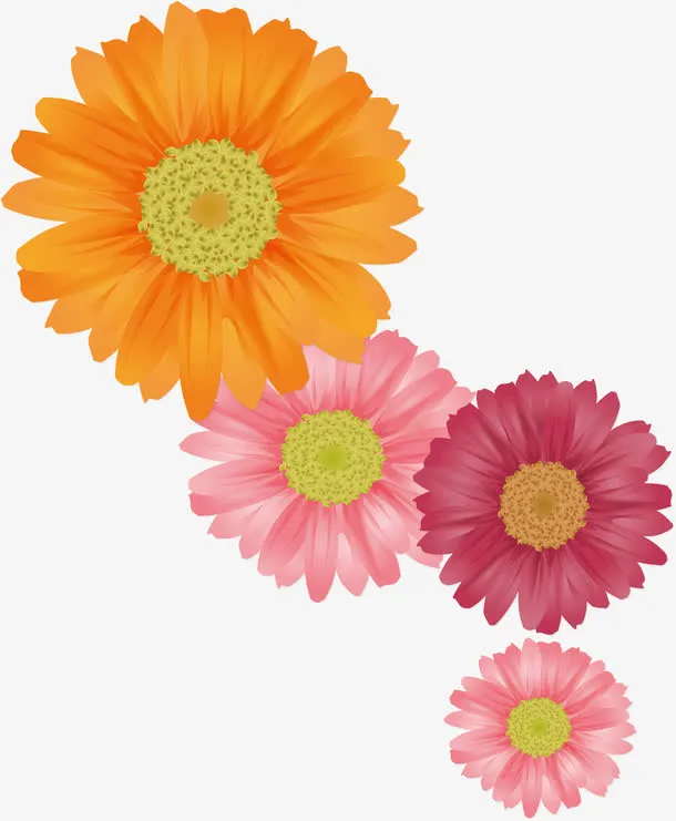 手绘菊花矢量图免抠