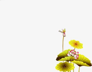 七夕卡通蝴蝶荷花免抠