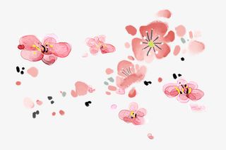 梅树梅花图片素材免抠