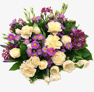 花草背景素材花草