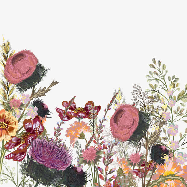 矢量鸟语花香免抠