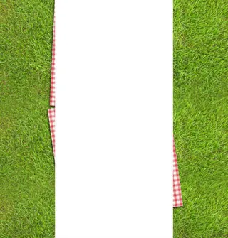 绿色草地固定背景